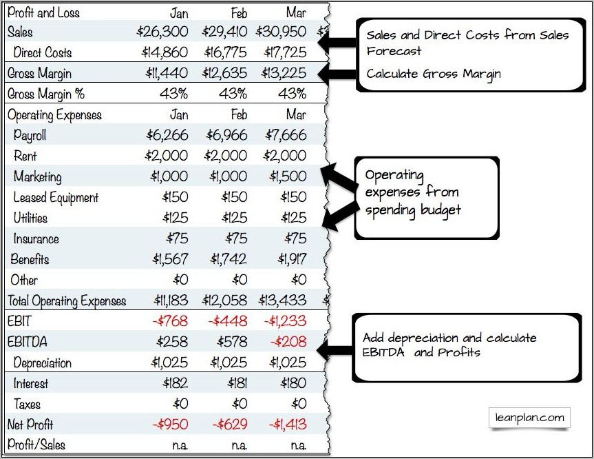 Pro Forma Profit And Loss Account Example