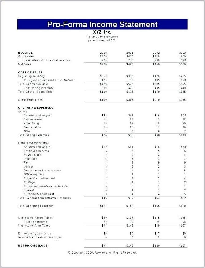 Pro Forma Profit And Loss Financial Statements