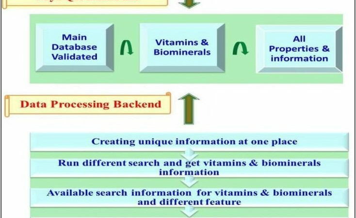 Process Flow Diagram Template Visio 2010