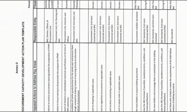 Procurement Capacity Development Action Plan Template