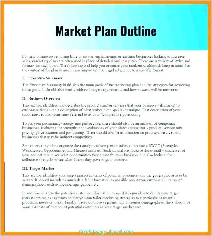 Product Launch Marketing Plan Sample