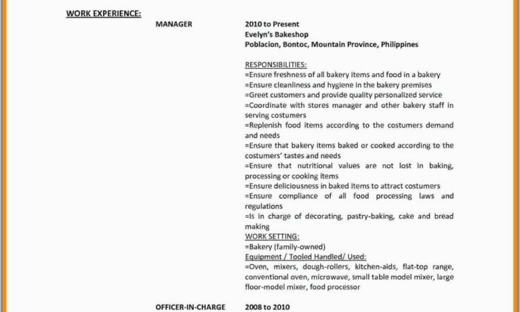 Professional Cv For Accountant