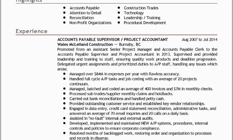 Professional Cv For Senior Accountant