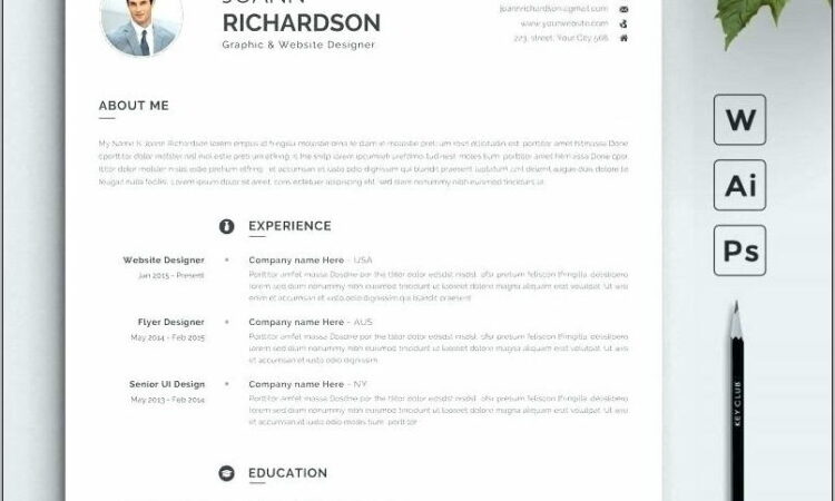 Professional Cv Template 2017