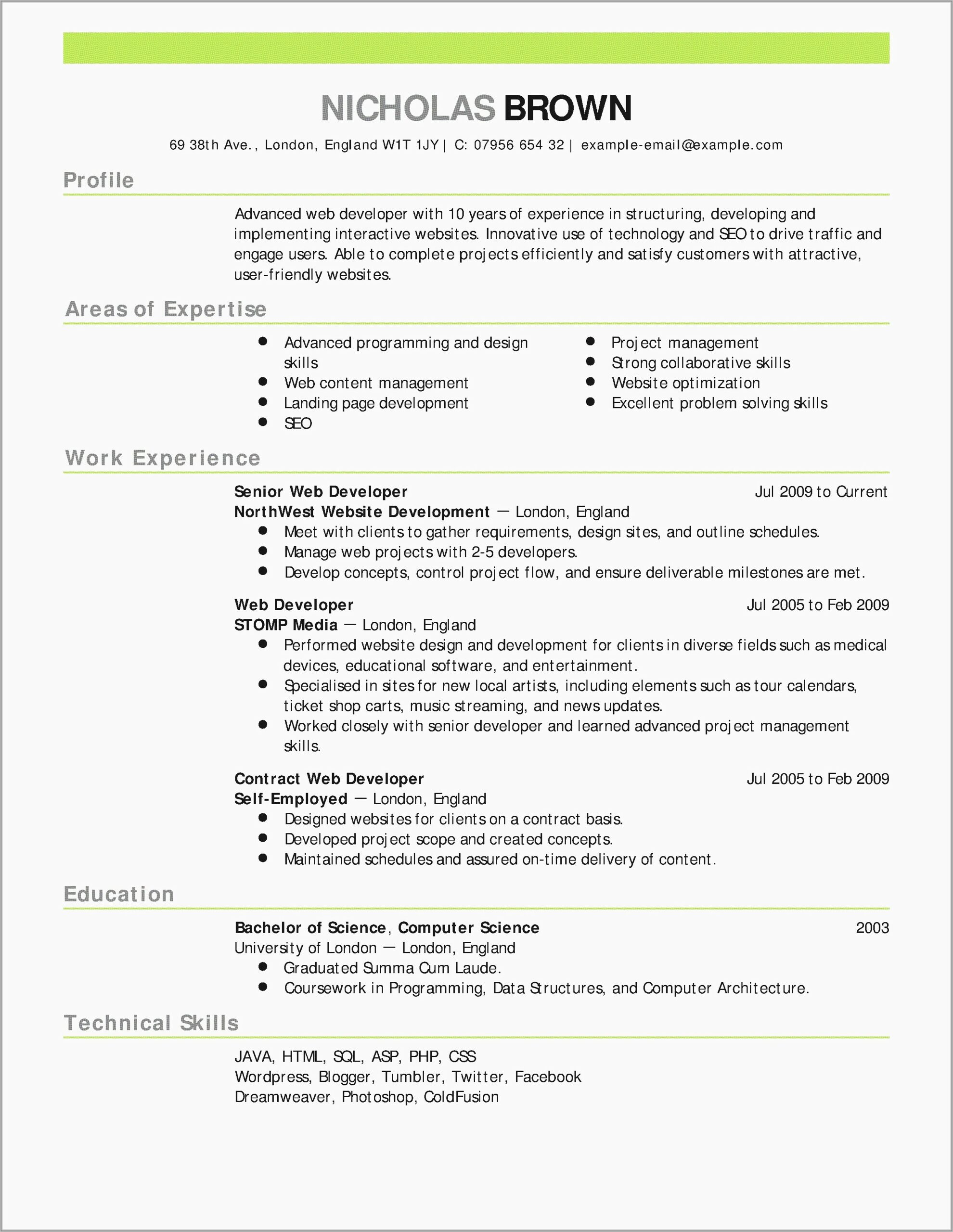 Professional Cv Template For Accountant