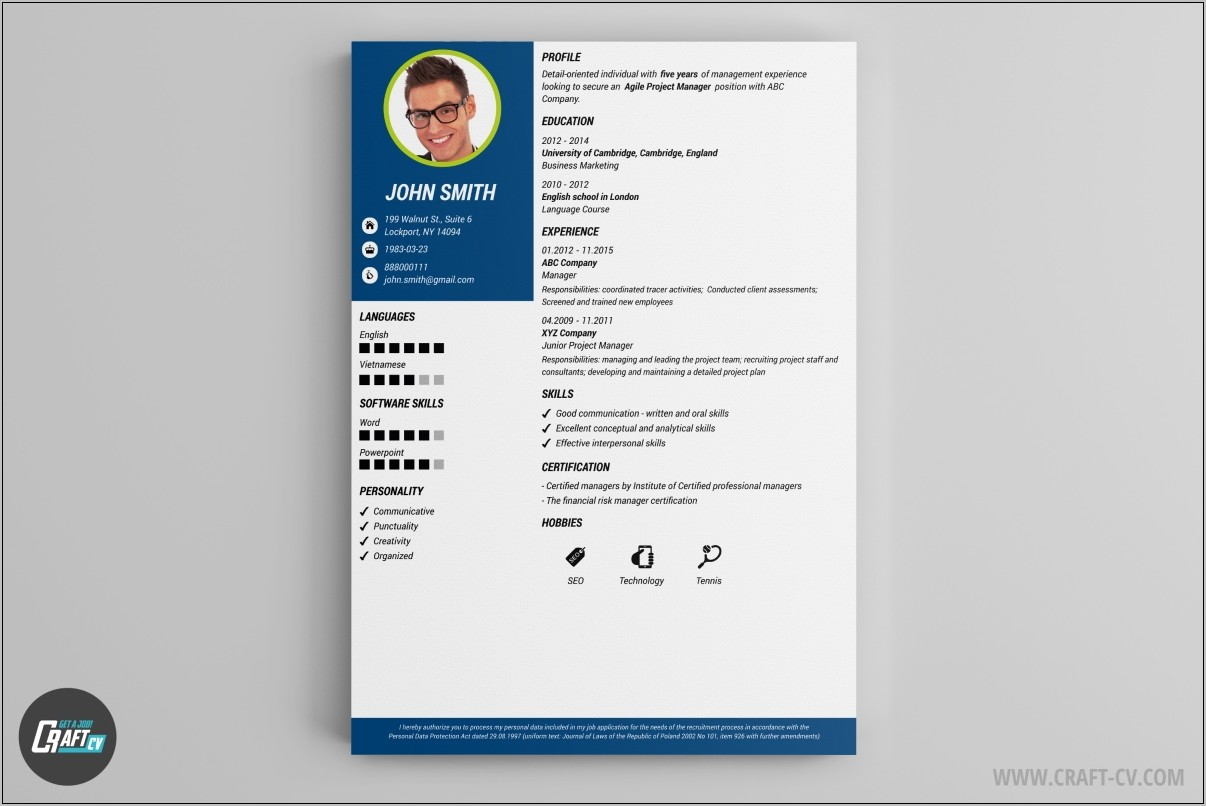 Professional Cv Template Free Online