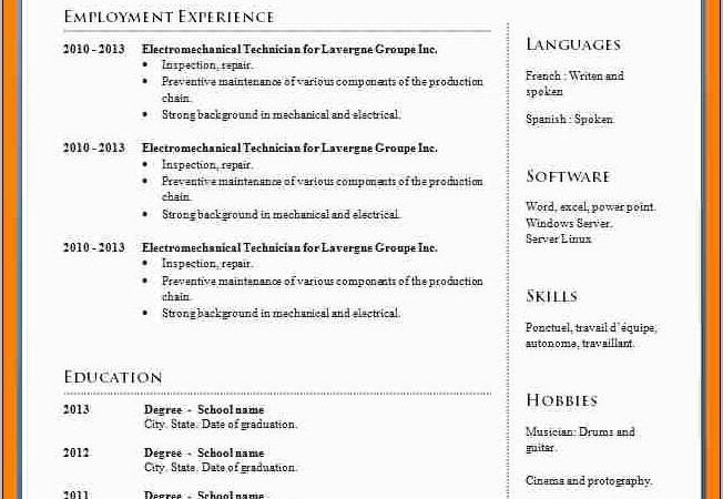 Professional Cv Template Free Word