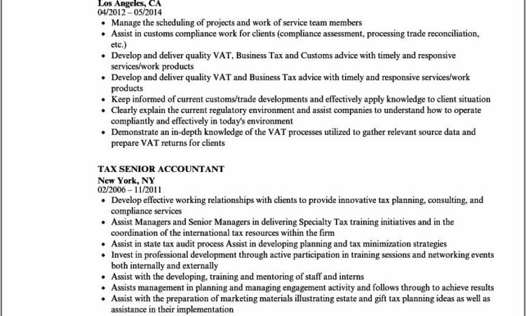 Professional Cv Template Senior Accountant