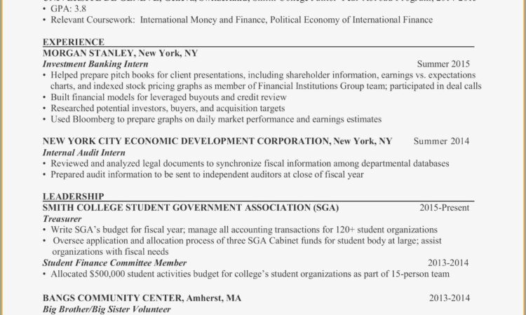 Professional Resume Format For Accountant