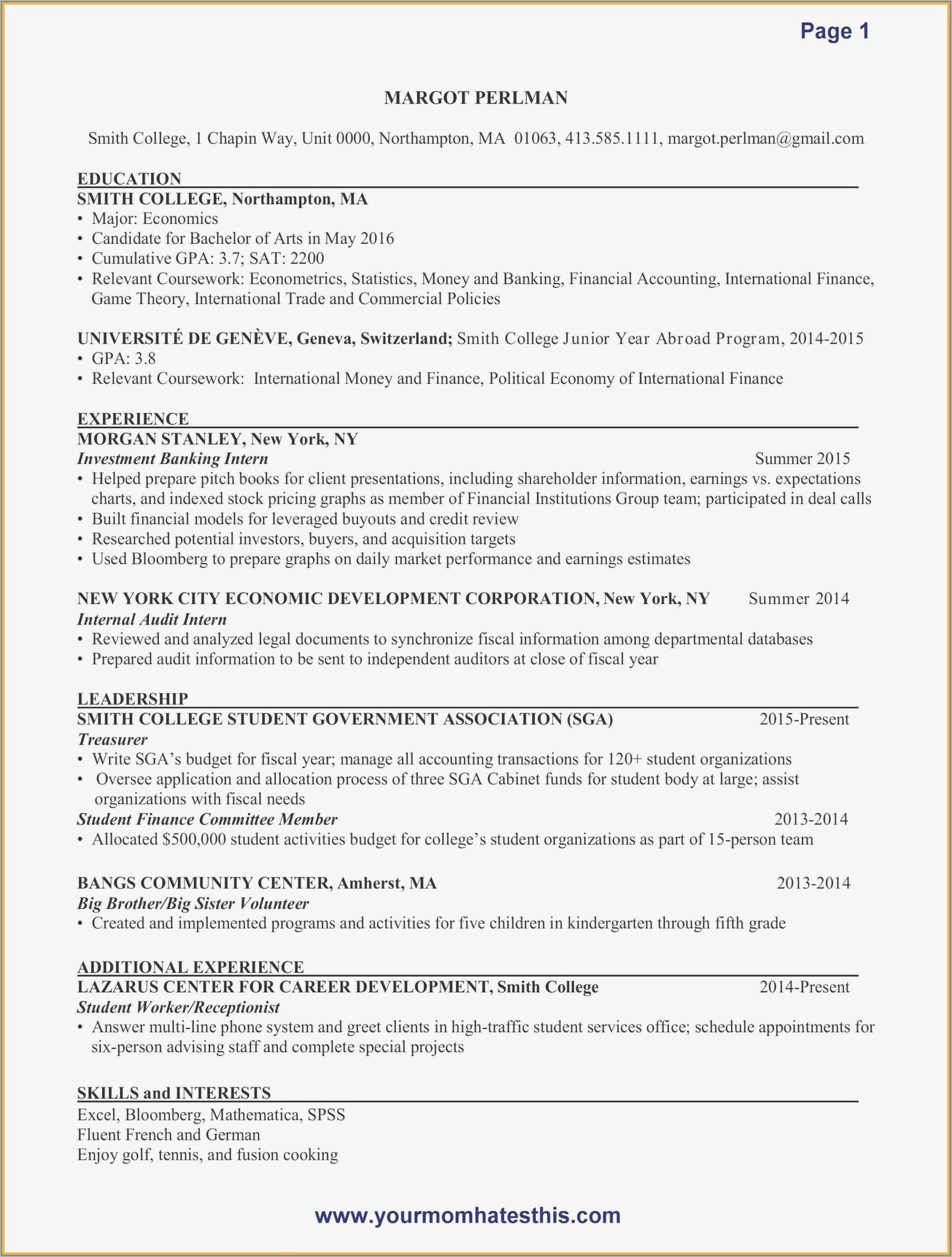 Professional Resume Format For Accountant