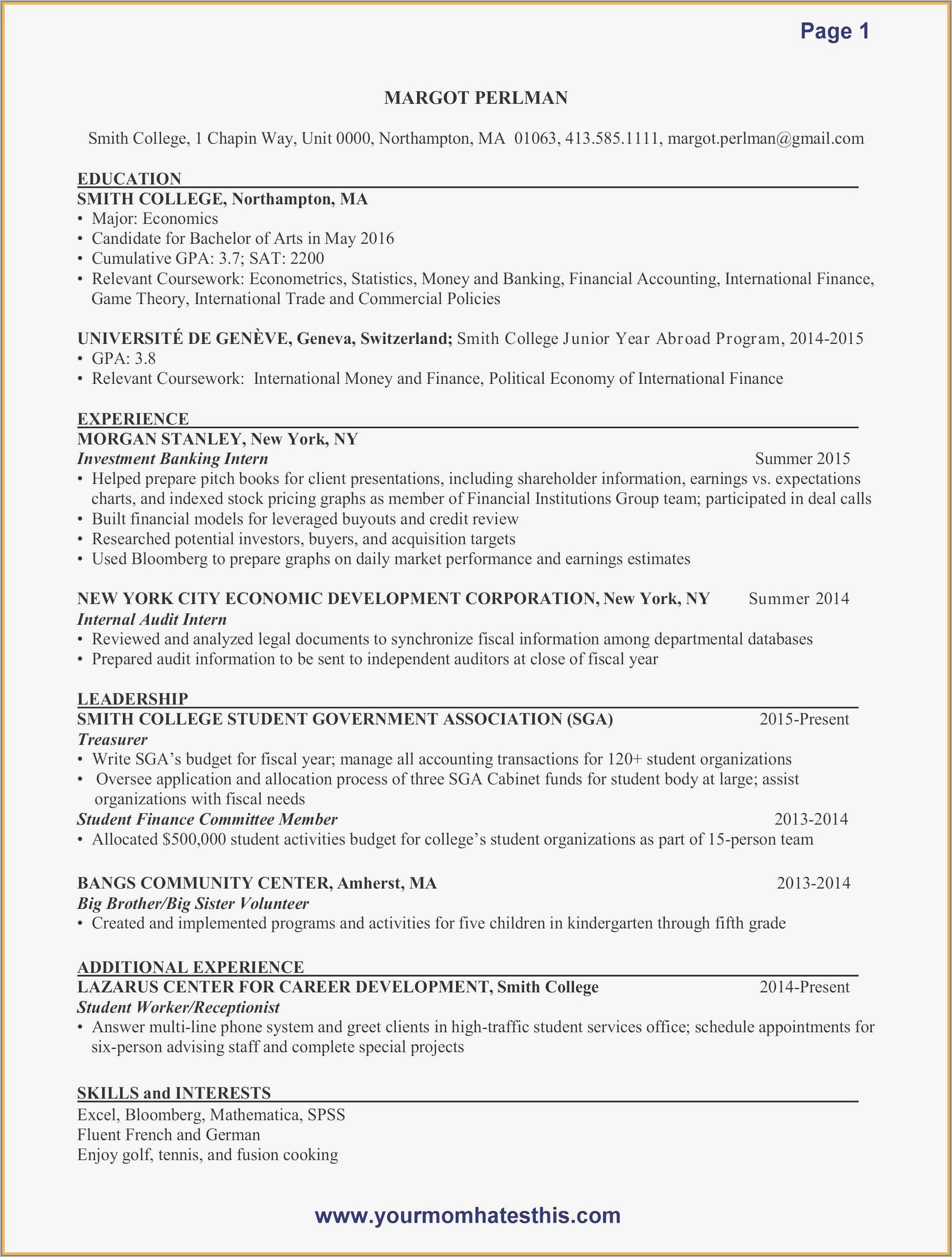 Professional Resume Format For Accountant