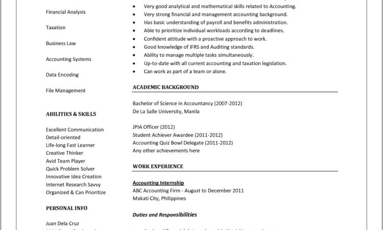 Professional Resume Format For Chartered Accountants