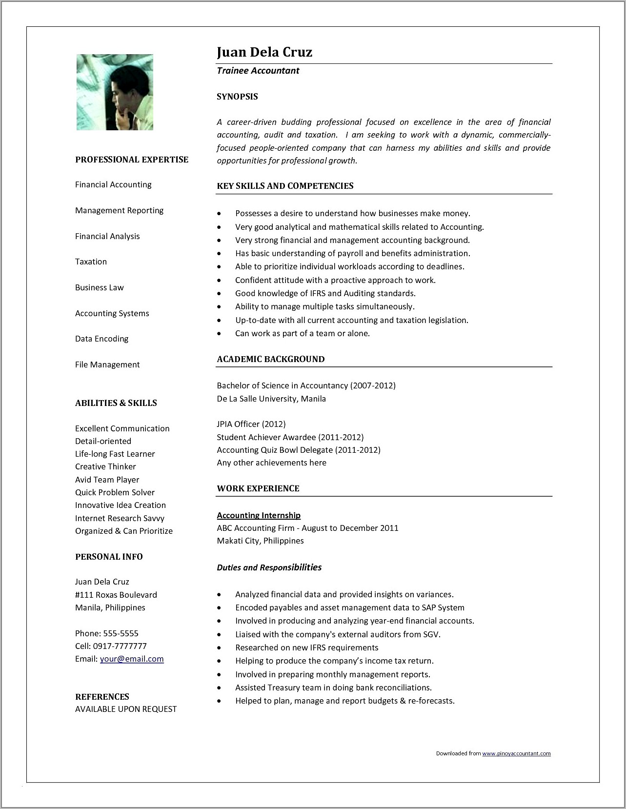 Professional Resume Format For Chartered Accountants