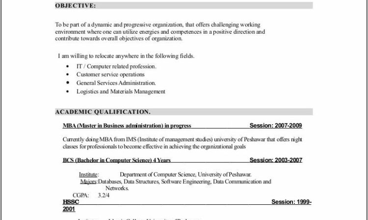 Professional Resume Format With Photo