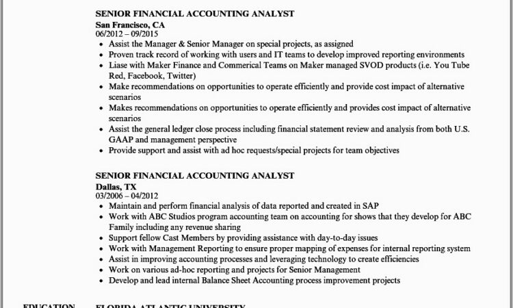 Professional Resume Senior Accountant