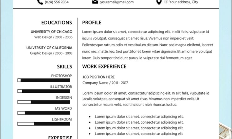 Professional Resume Template Doc Free Download