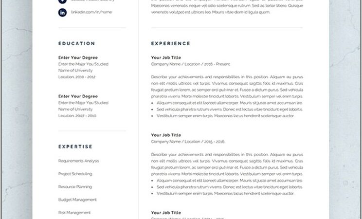 Professional Resume Template For Accountant