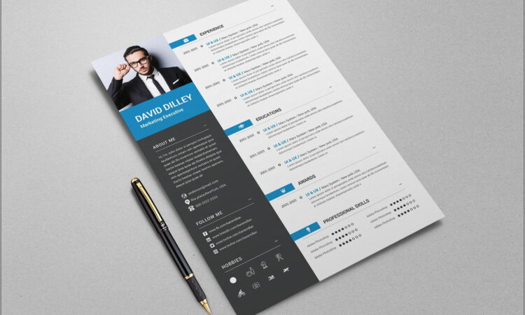 Professional Resume Template For Executives