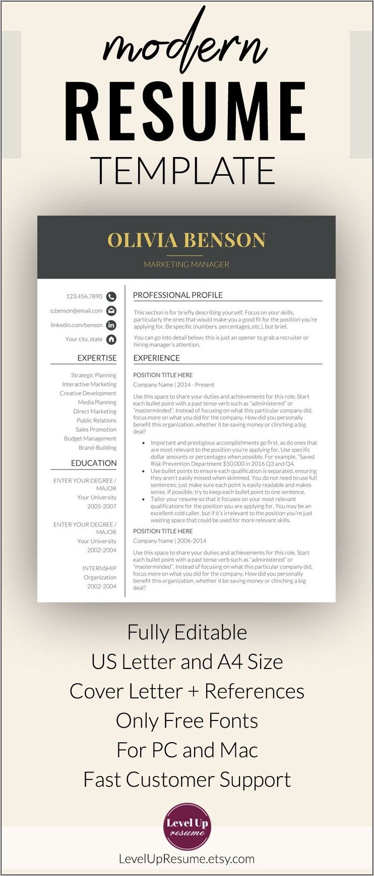 Professional Resume Template For Microsoft Word