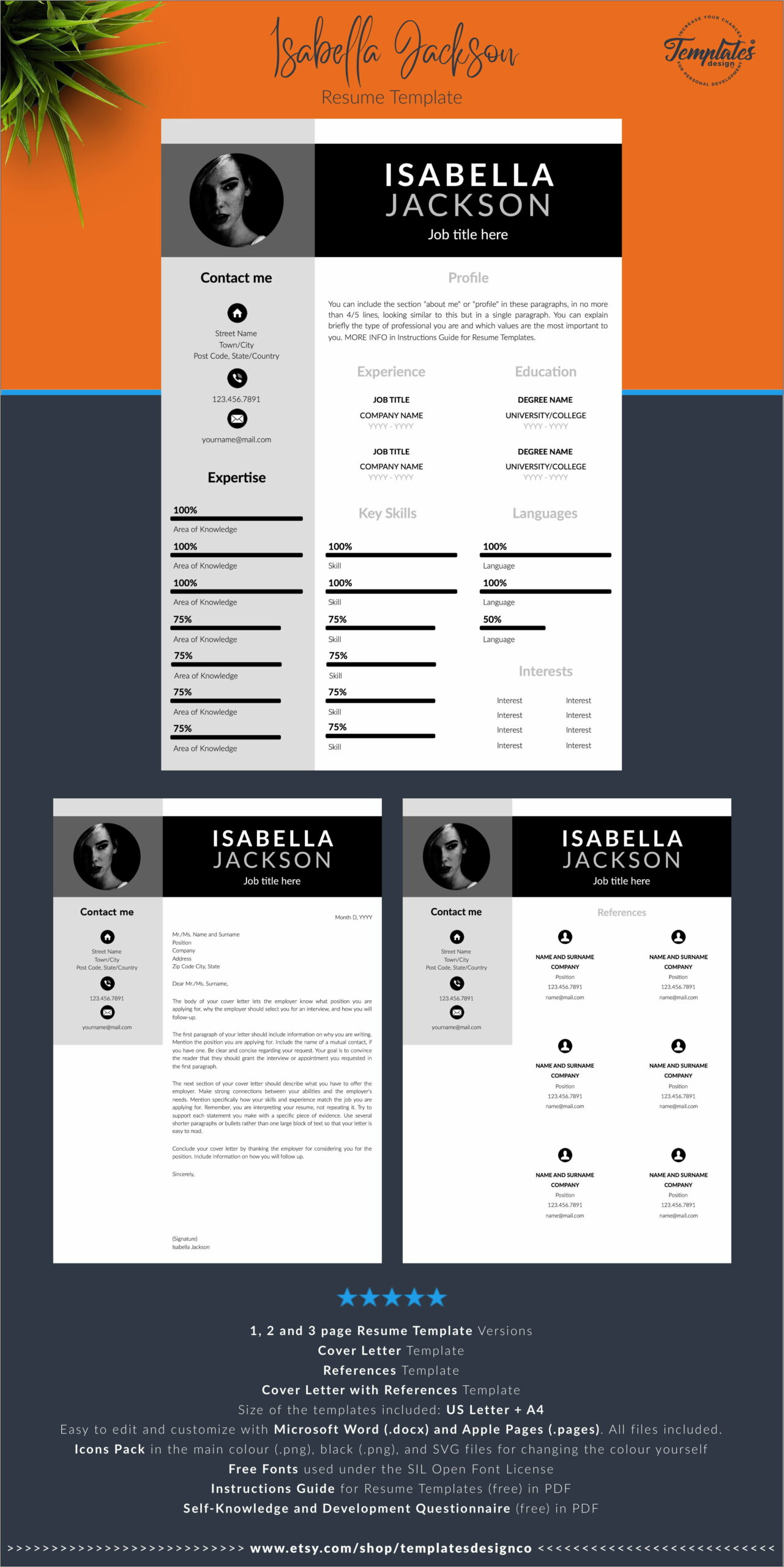Professional Resume Template With Picture