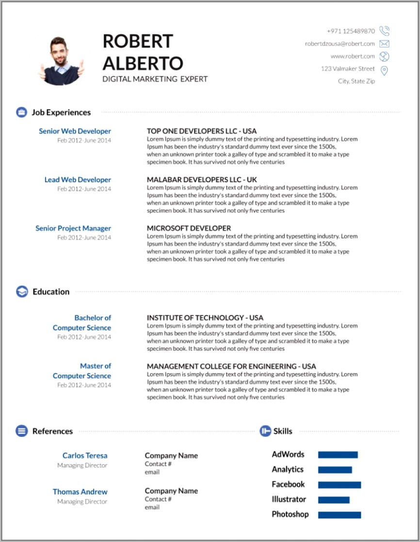 Professional Resume Template Word 2013