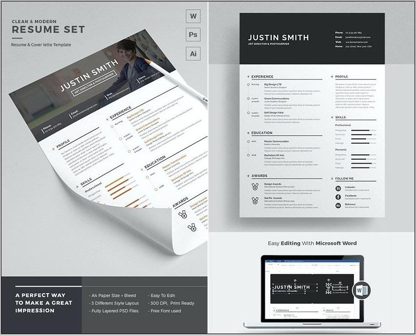 Professional Resume Template Word 2017