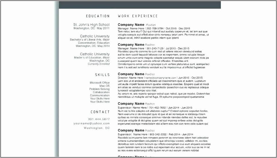 Professional Resume Templates 2015