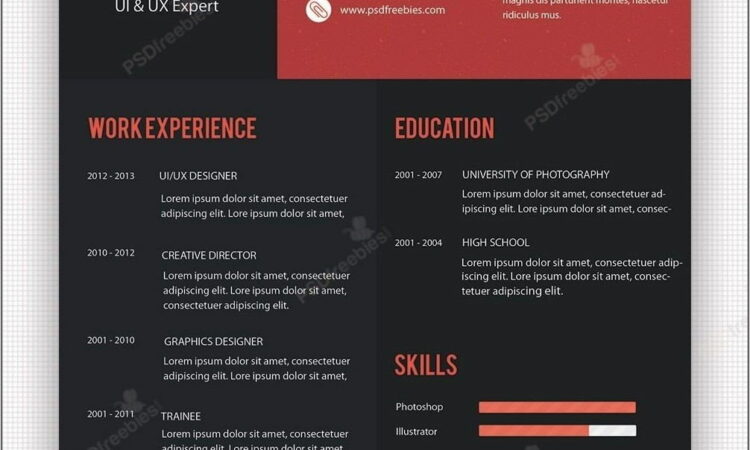 Professional Resume Templates Free Download