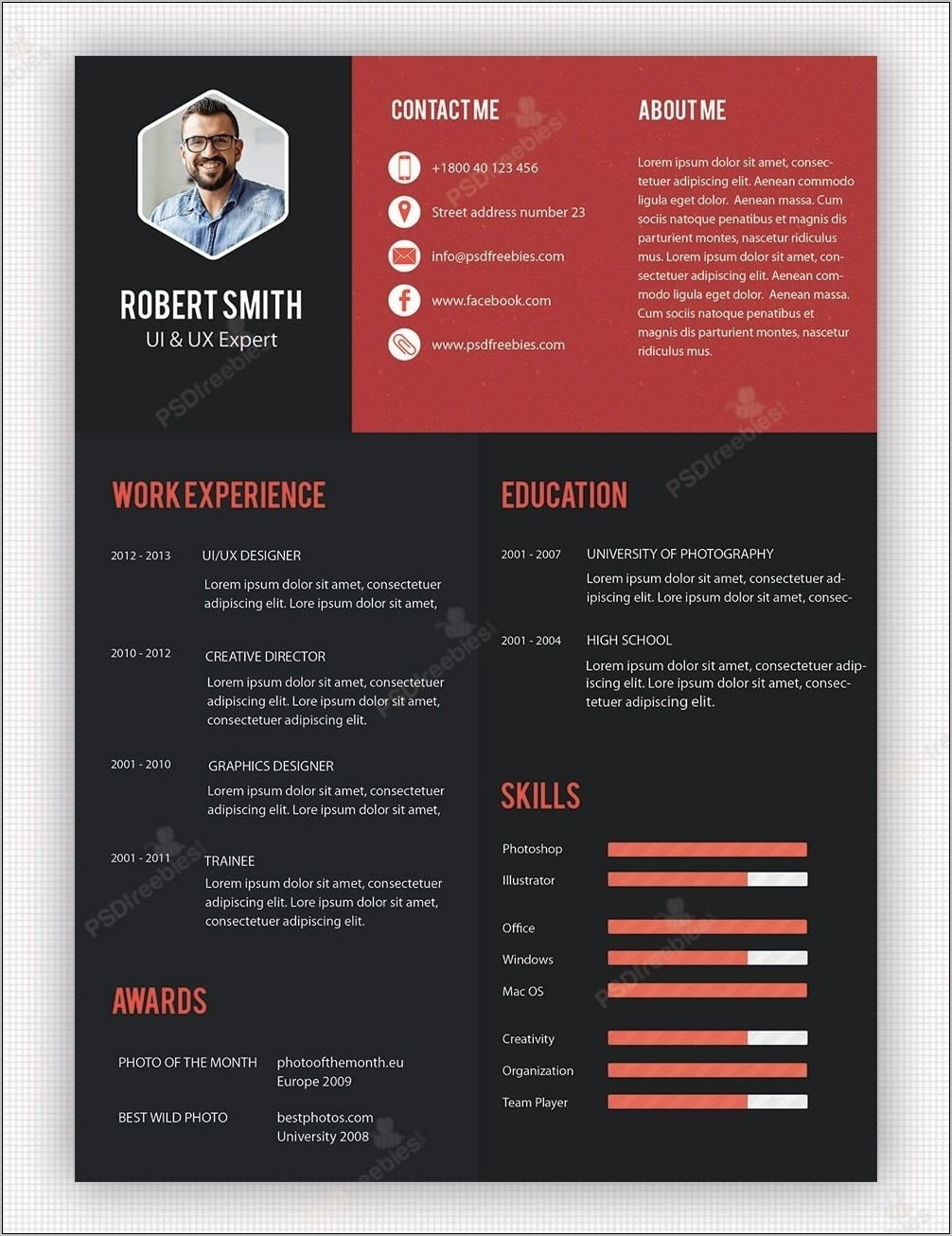 Professional Resume Templates Free Download