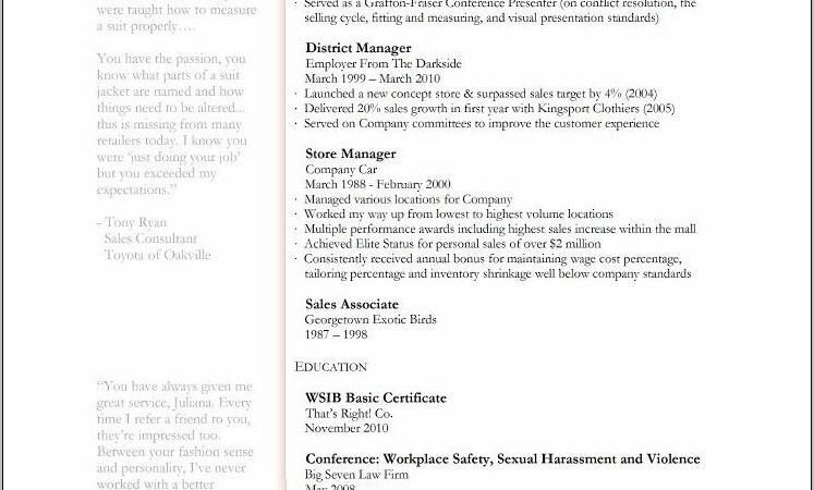 Professional Resumes Templates Free