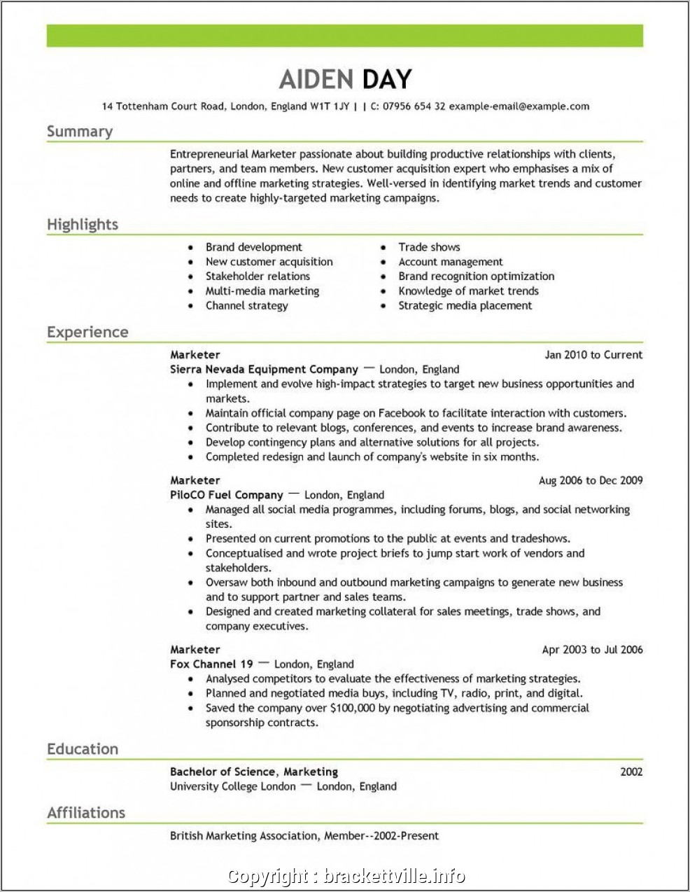 Professional Sales Cv Format