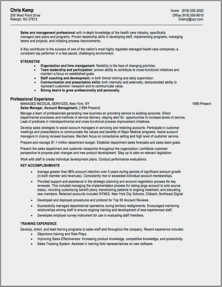 Professional Sales Manager Resume Examples