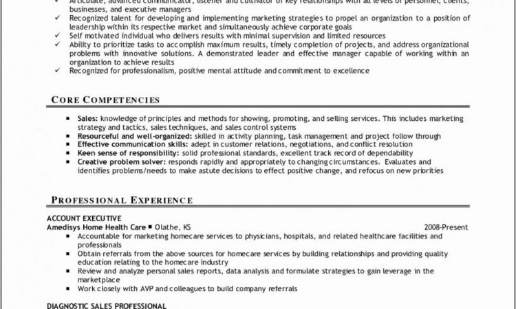 Professional Sales Resume Format