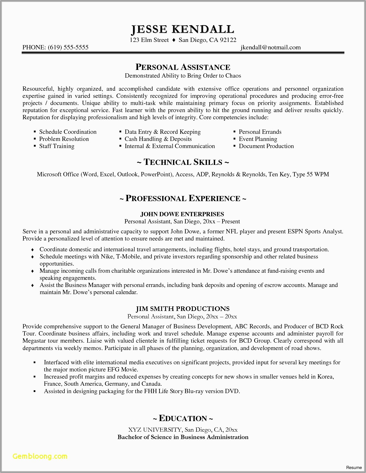 Professional Summary Resume Sample For Accountant