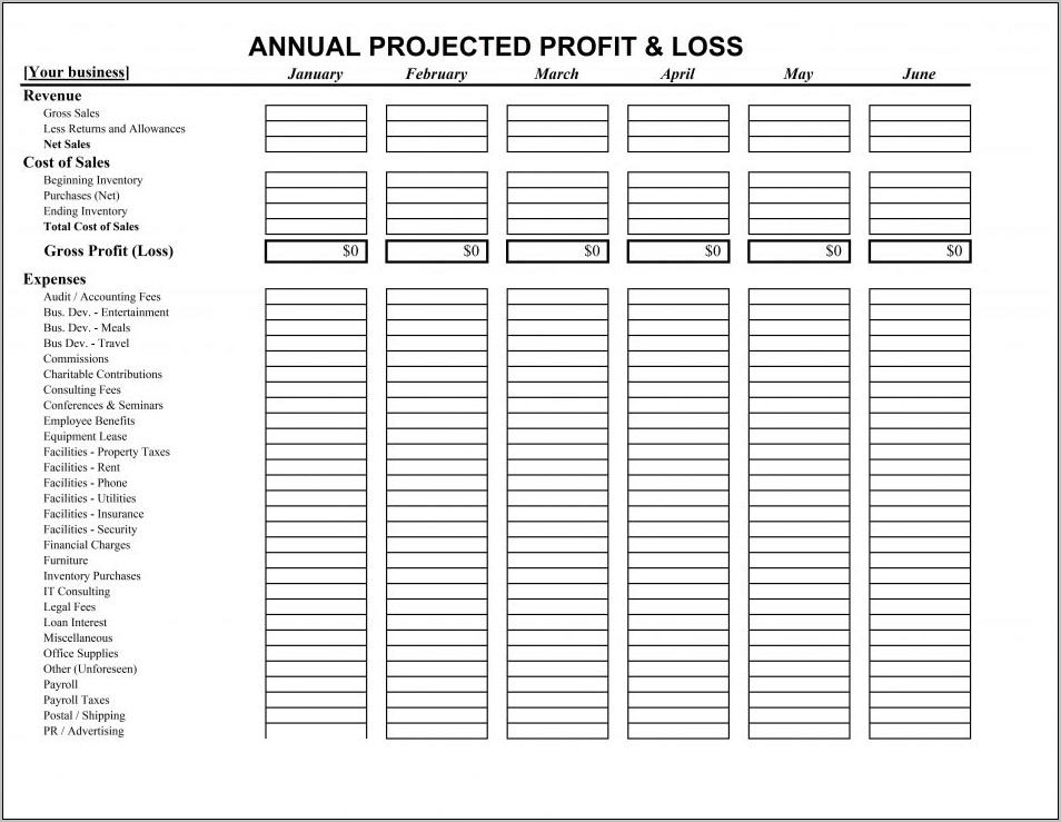 Profit And Loss Form Free Download