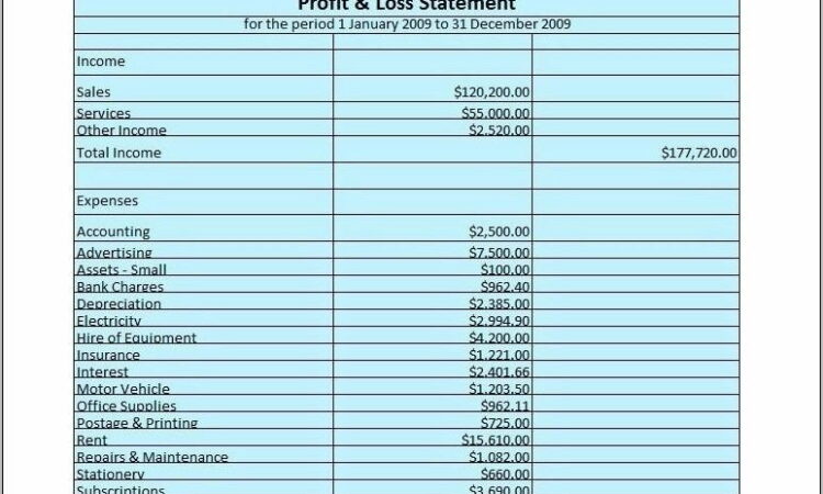 Profit And Loss Sample Pdf