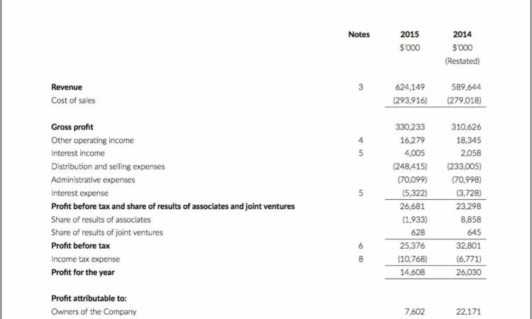 Profit And Loss Statement Template Singapore