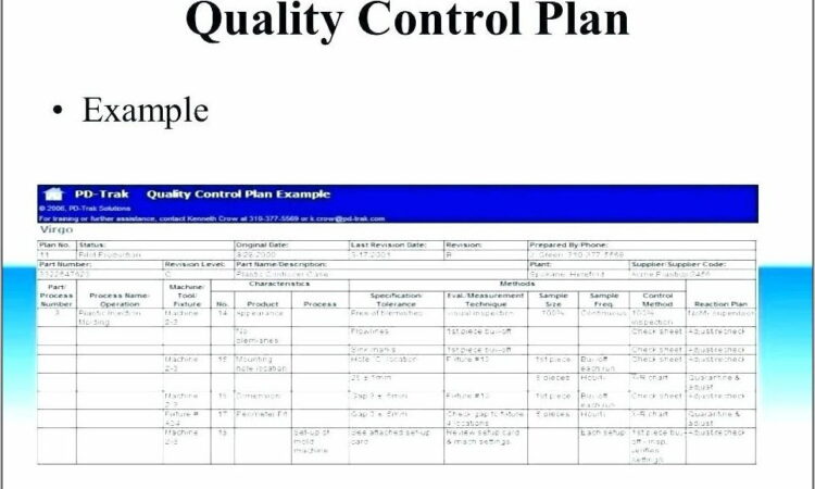 Project Execution Plan Example Construction