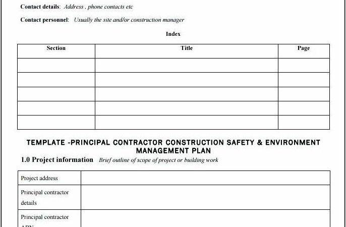 Project Execution Plan Sample Construction