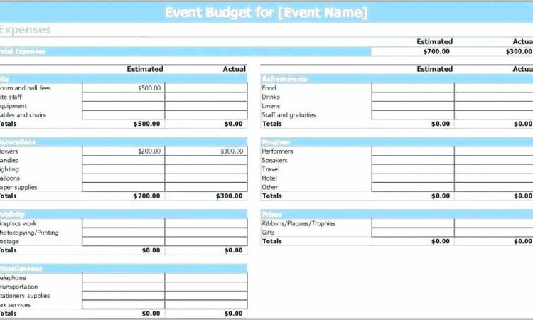 Project Management Budget Template Xls