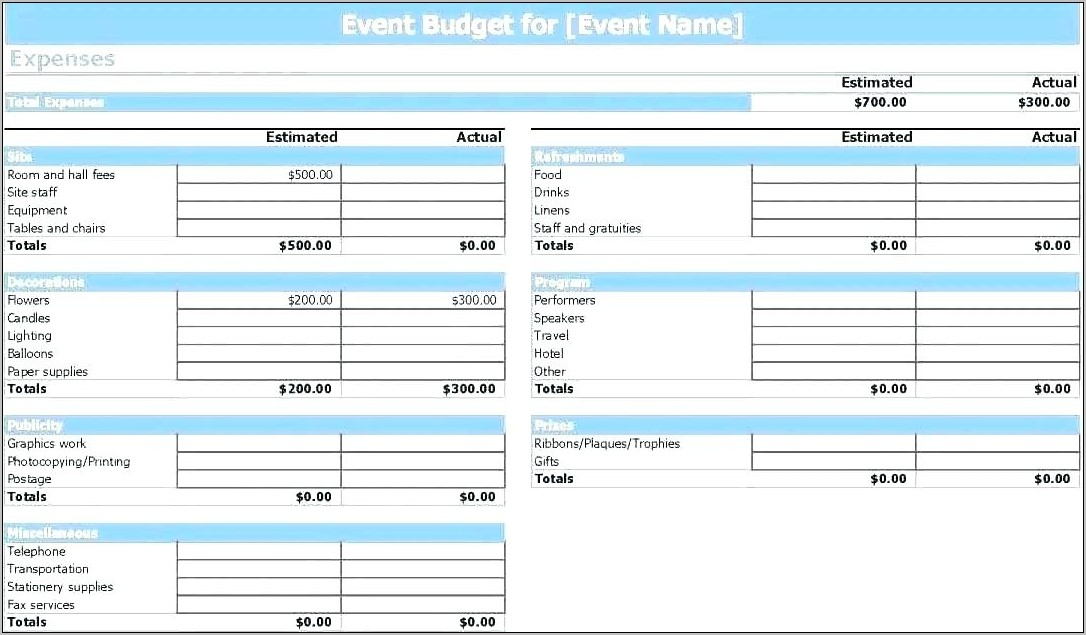 Project Management Budget Template Xls