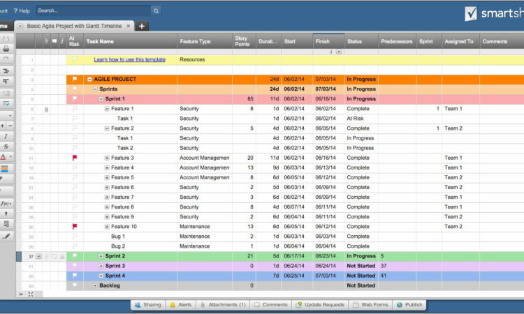 Project Management Format Template