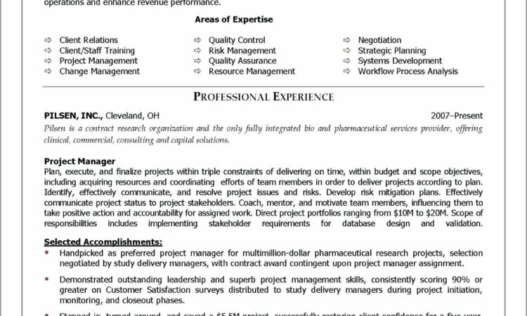 Project Management Human Resource Plan Example