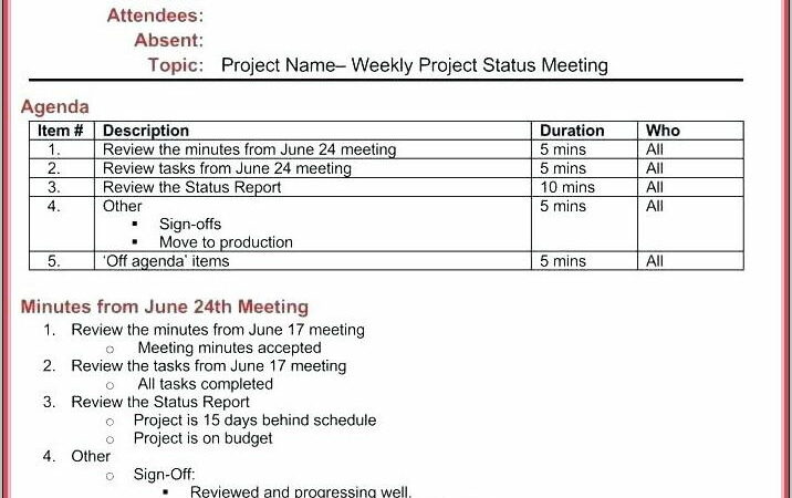 Project Management Meeting Minutes Template