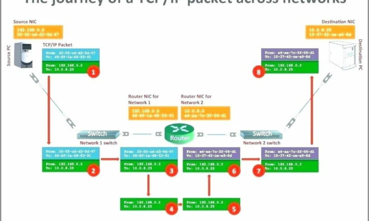 Project Management Network Diagram Template Free