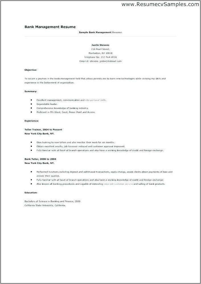 Project Management Resume Template Free
