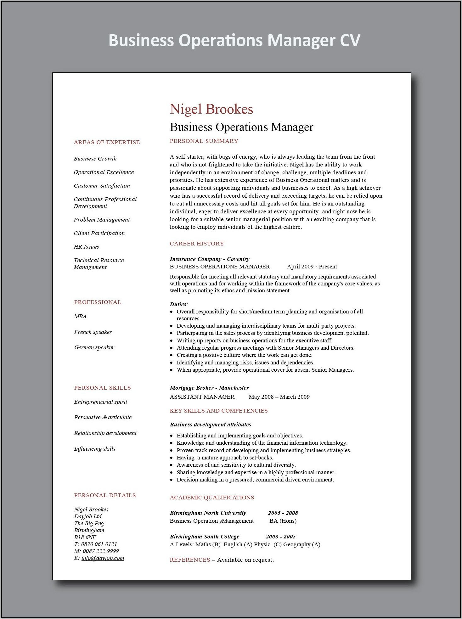 Project Manager Cv Template Pdf