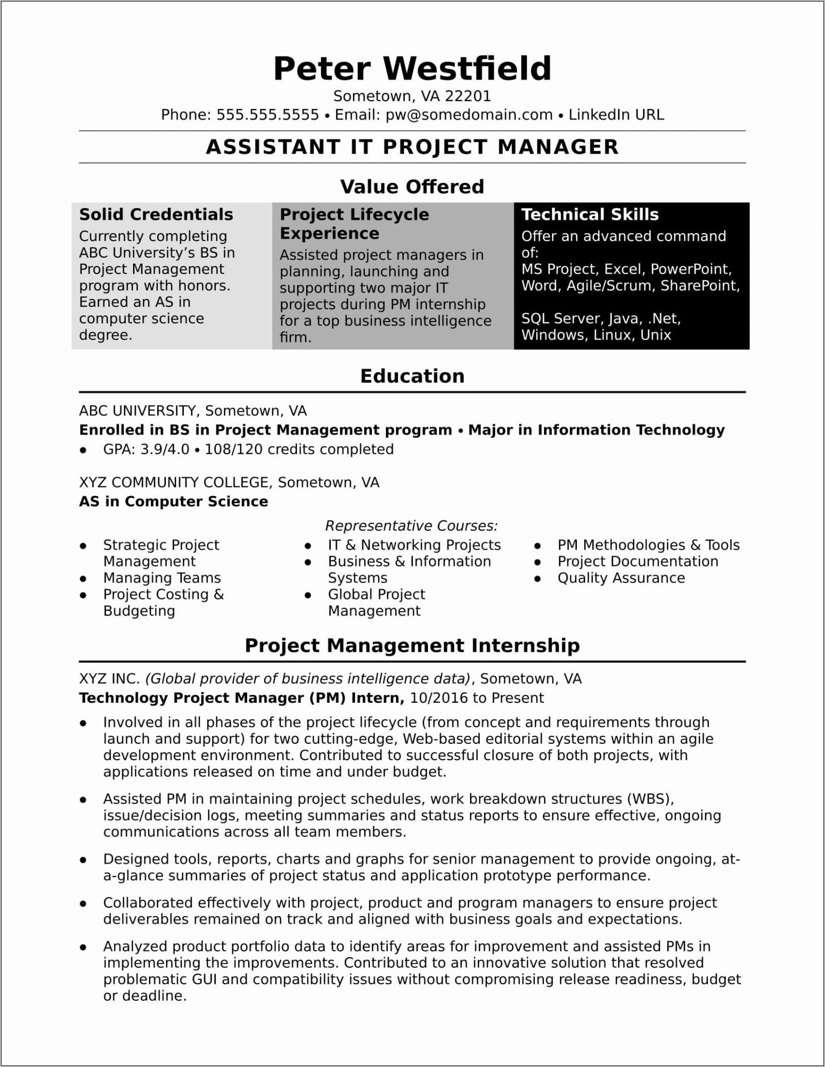 Project Manager Resume Template Doc