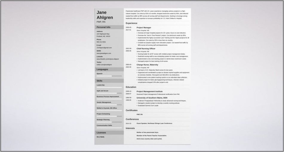 Project Manager Resume Templates Free