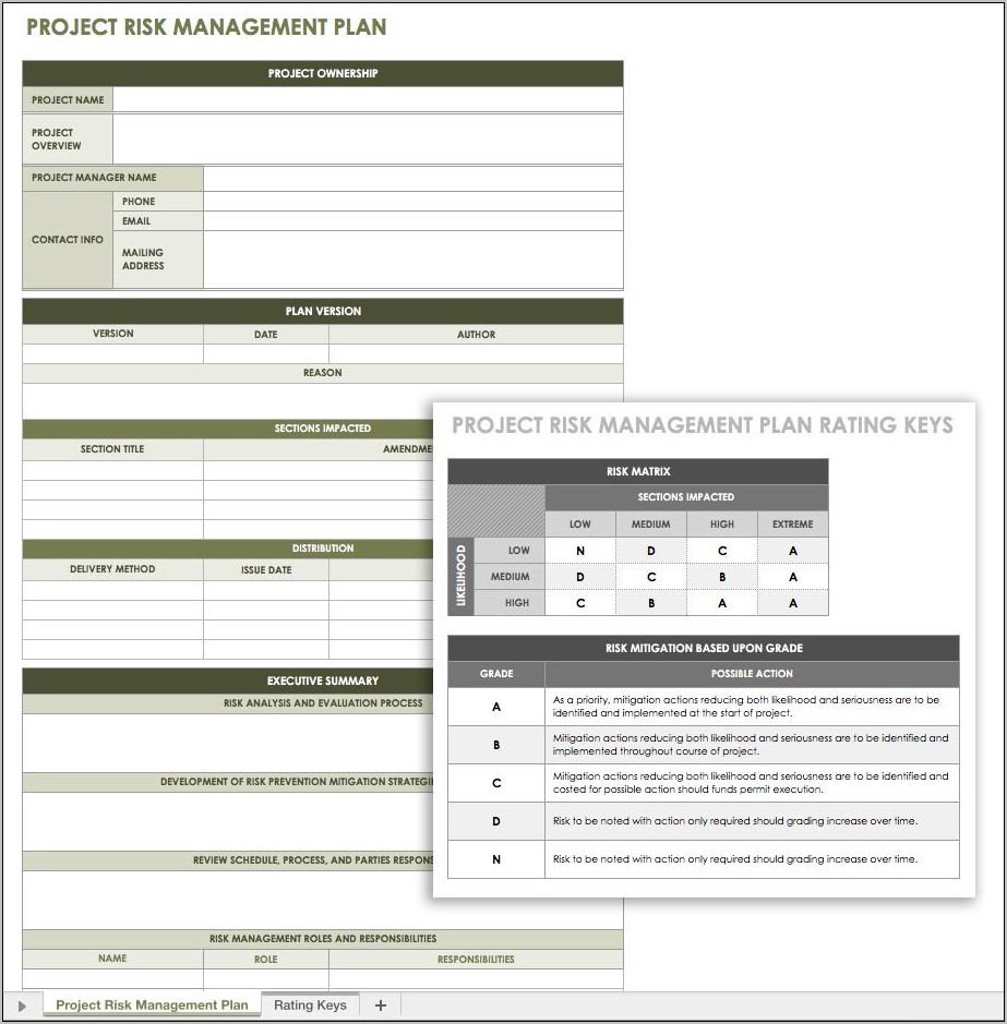 Project Risk Mitigation Plan Template